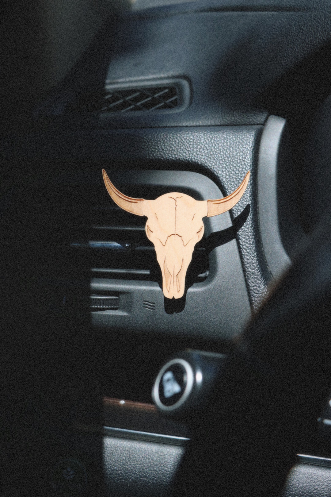 Skeleton Diffuser Skeleton Bullhead Air Vent Diffuser – DayCrafter