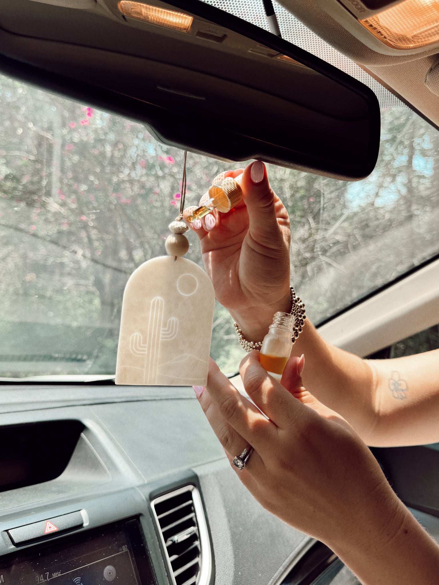 Desert Cactus Arch Car Diffuser